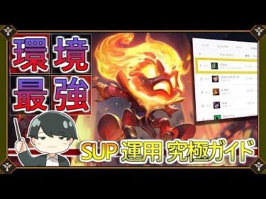 【プロSUP解説】『アムムサポート講座』【V3 Raina】