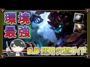【プロSUP解説】『マオカイサポート講座』【V3 Raina】